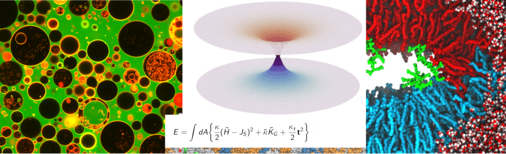 Univerzita Karlova (Matematicko-fyzikální fakulta)
